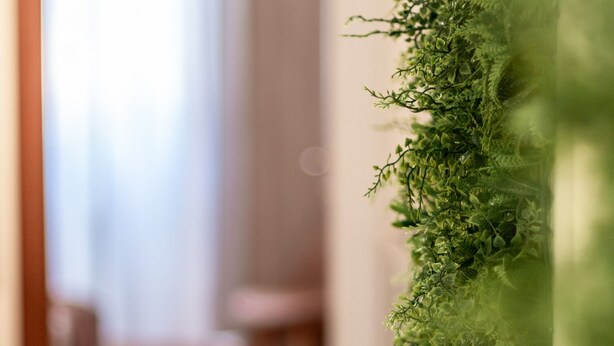 A hallway with a vertical garden installation on the right side.