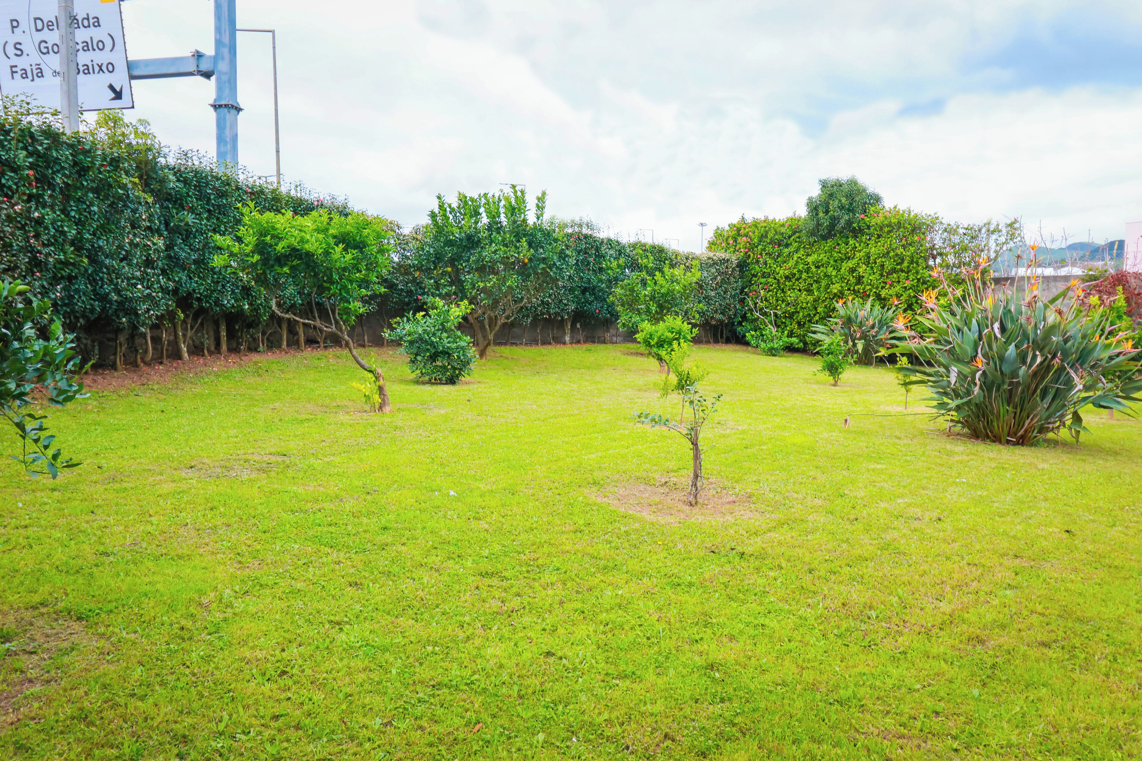 Foto - Casa Barão das Laranjeiras