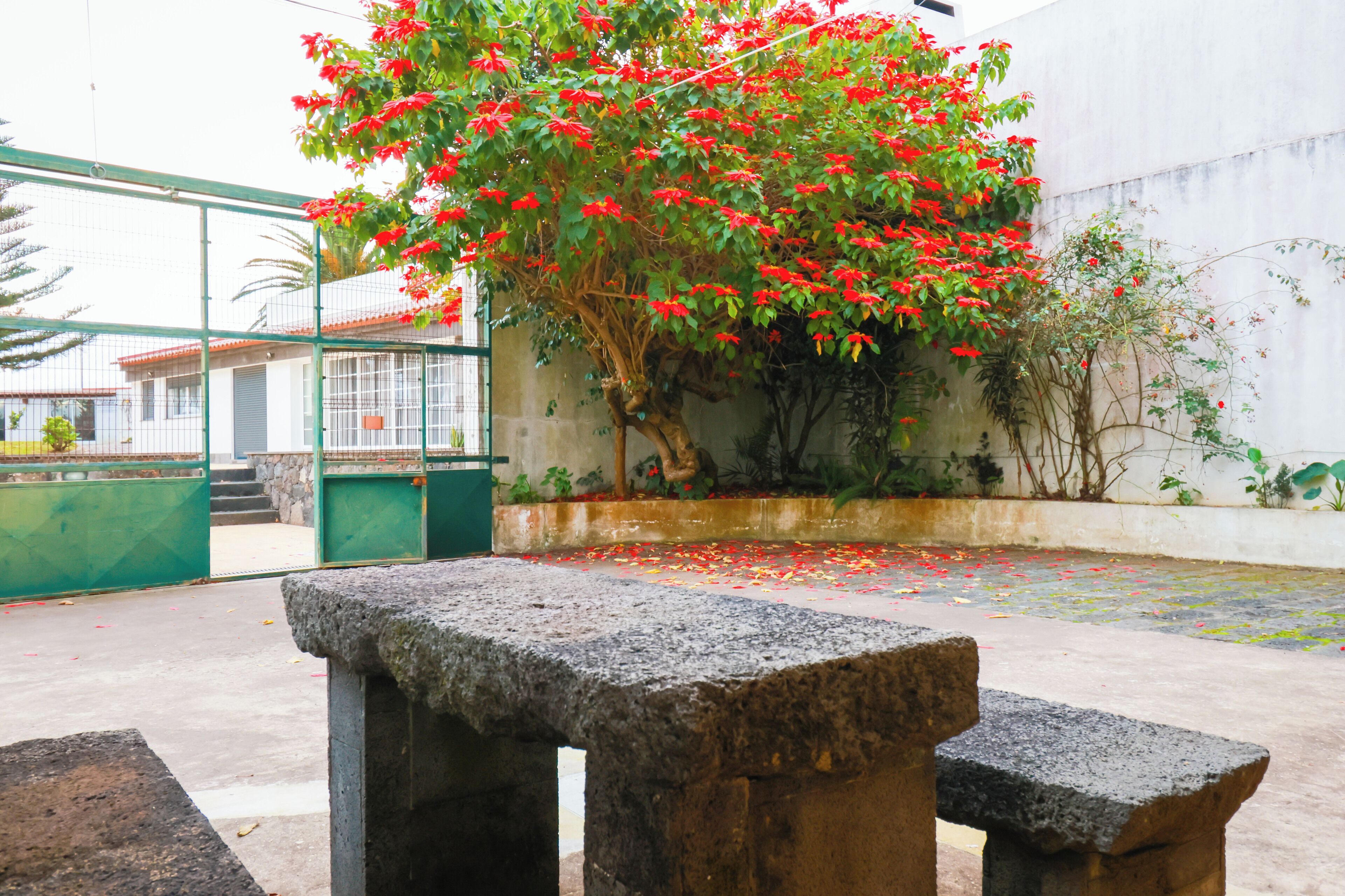 Foto - Casa Barão das Laranjeiras