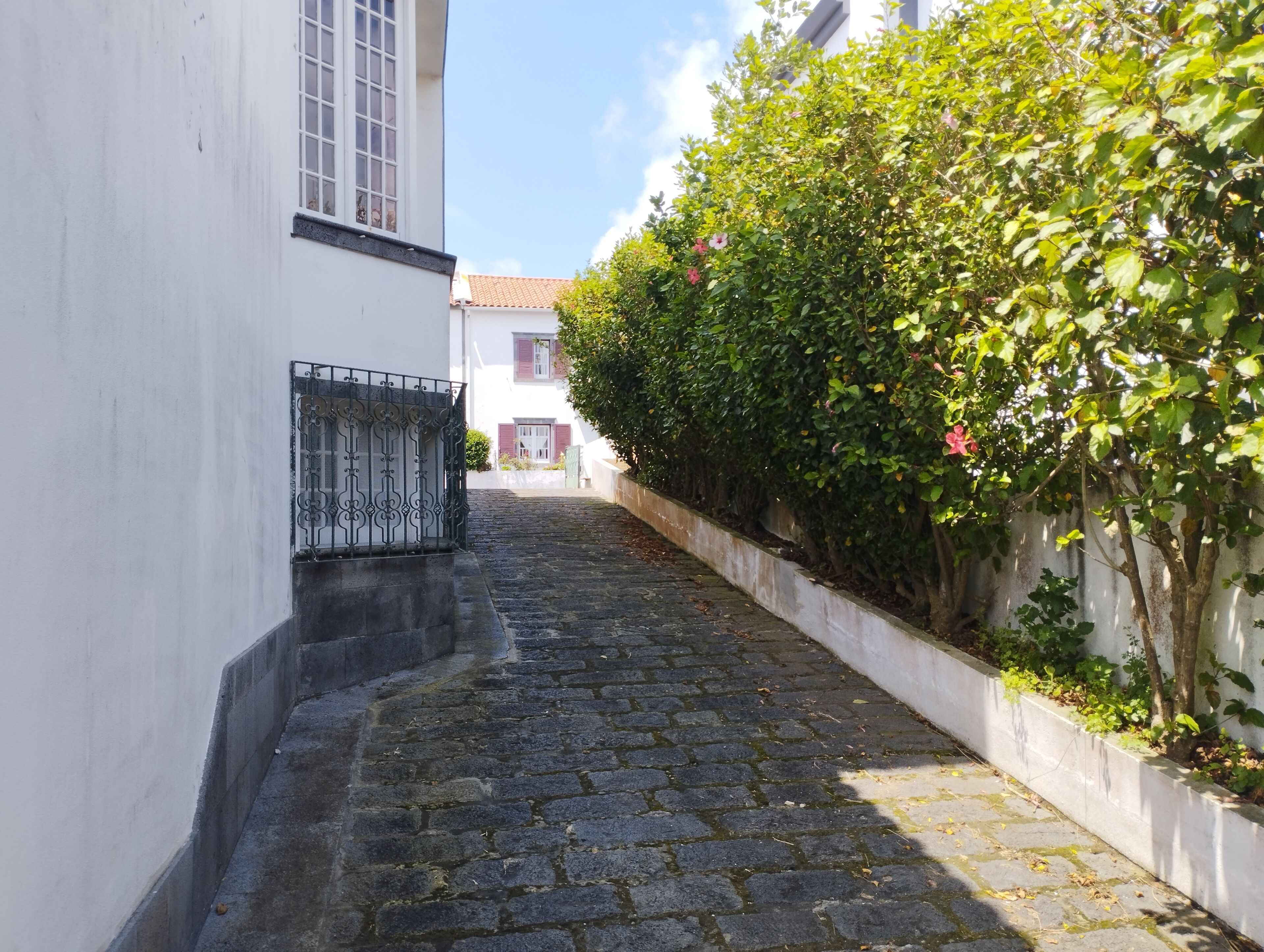 Foto - Casa Barão das Laranjeiras