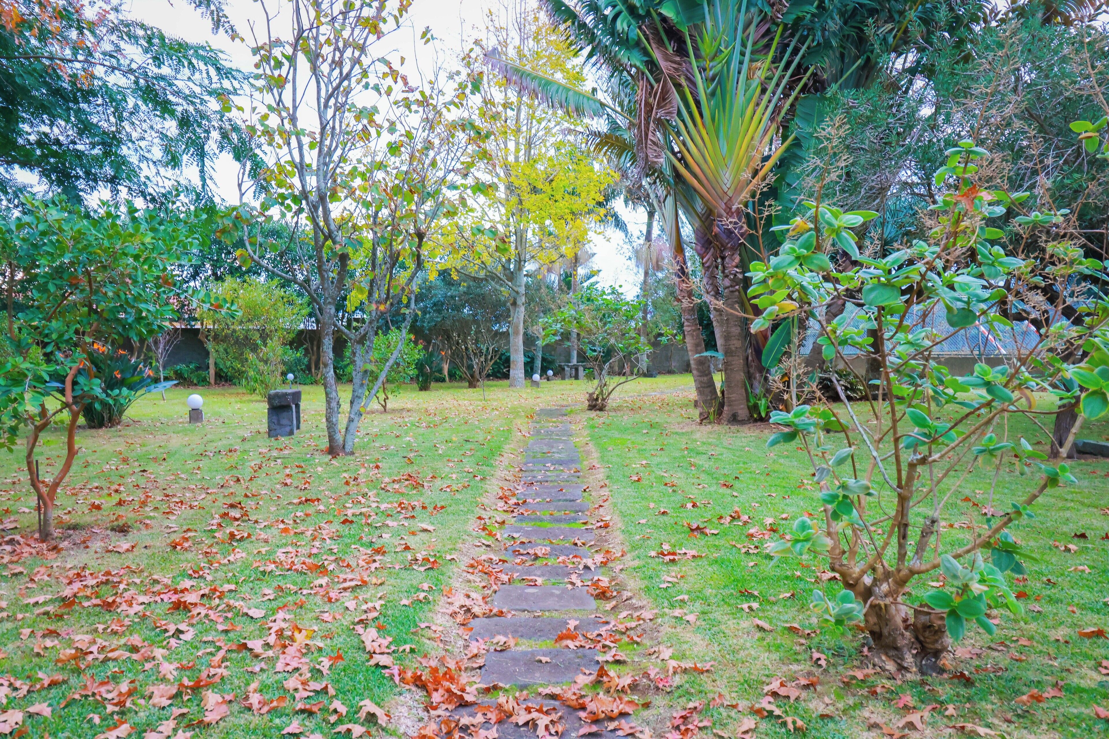 Foto - Casa Barão das Laranjeiras
