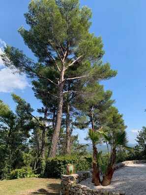 Overnattingsstedets uteområder