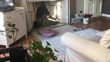 Télévision, cheminée