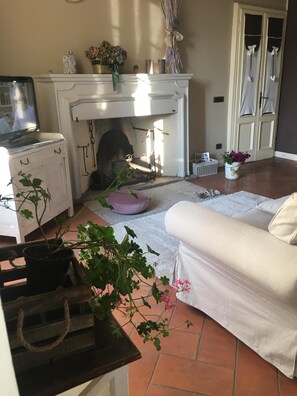 TV, fireplace