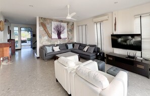 Smart TV, DVD player, books, video library
