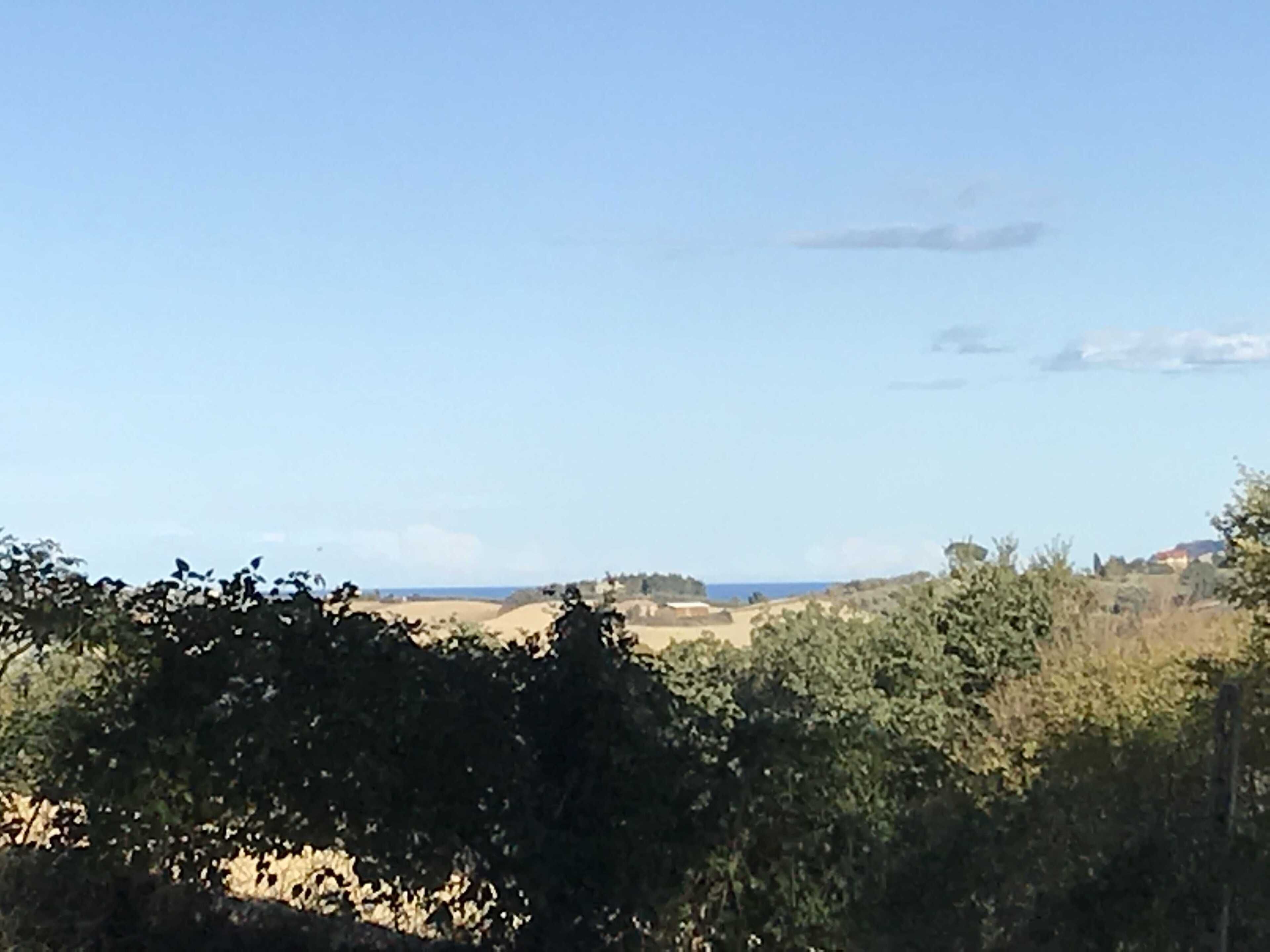 A landscape with a clear sky, vegetation, and distant buildings.