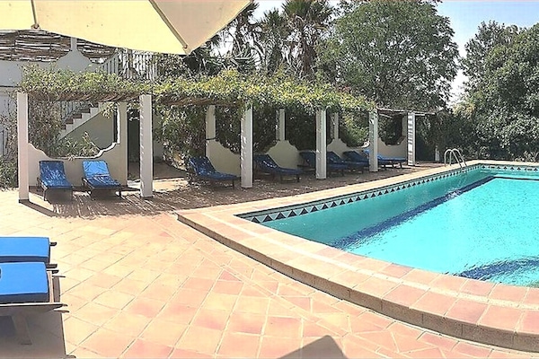 The pool, surrounded by partly shaded terraces with sunbeds.