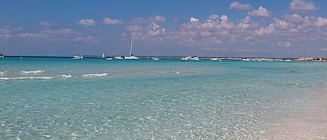 在海灘附近
