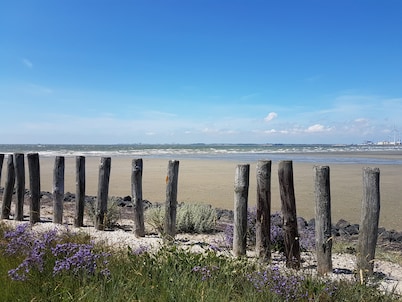 Casa unifamiliar "RamaDelMar" en el Westerschelde
