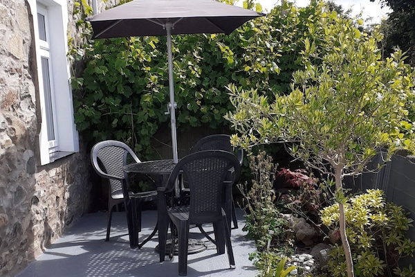 Grape vine and olive tree . Sun trap at back of cottage.
