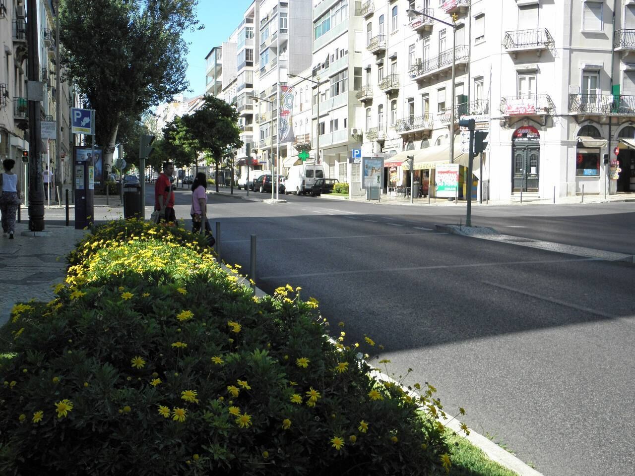 A street with buildings, a parking sign, and a flower bed.