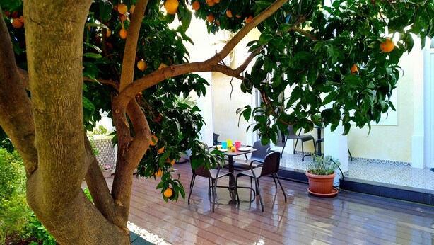 Eine Terrass mit Tisch und Stühlen, umgeben von einem Baum mit Orangenfrüchten.
