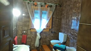 Combined shower/bathtub, hair dryer, bidet, soap