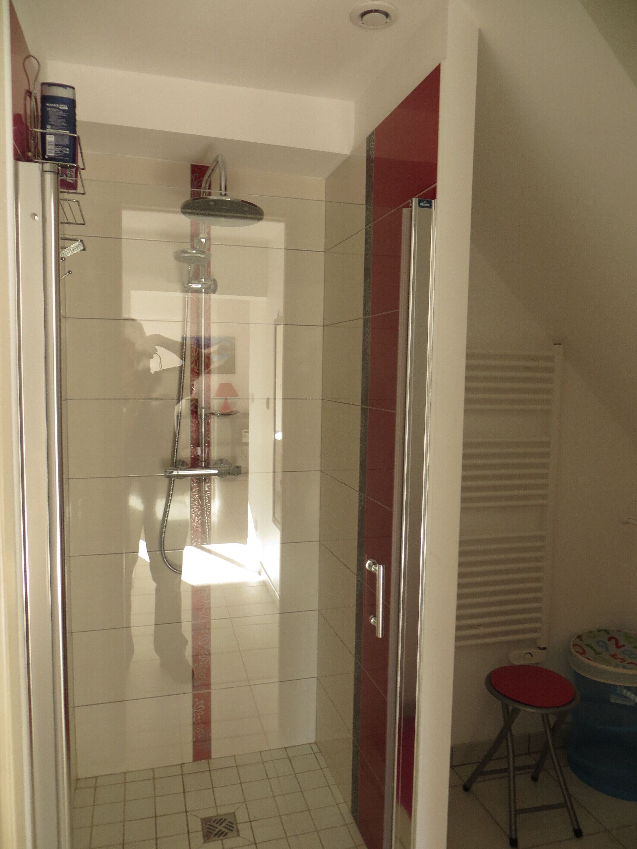 Shower, hair dryer, soap, toilet paper