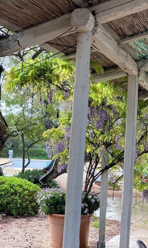 Un espacio al aire libre cubierto con una estructura de pérgola, plantas en macetas y vista a una piscina.