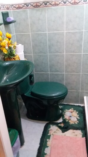 Combined shower/tub, towels