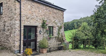 The Apple Store, Great Doward In The Wye Valley