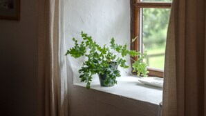 Et vindue med en potteplante på vindueskarmen, gardiner halvt trukket fra, og et billede i ramme på væggen.