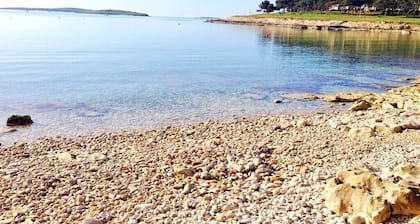 Ferienwohnungen Luciana, (15949), Premantura, hr