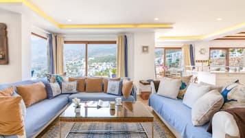 Smart TV, caminetto, lettore DVD, libri