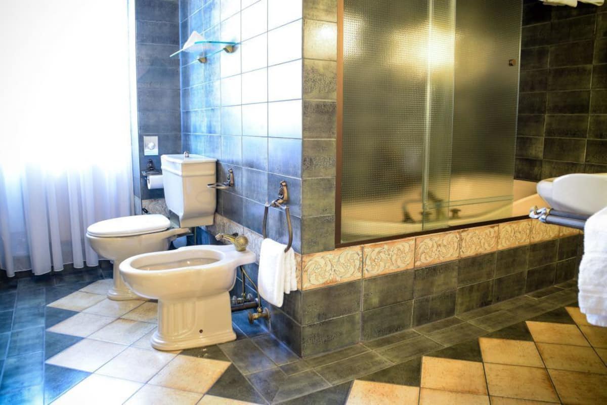 Een douche, gratis toiletartikelen, een haardroger, handdoeken