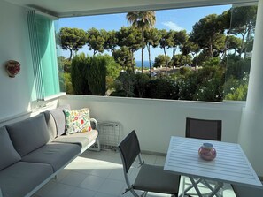 TV, DVD player, books, video library