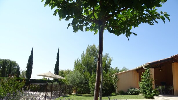 A garden with lavender, a pergola, and a building with a tiled roof. - Air-conditioned house 1 km Bédoin/Ventoux - Private/heated swimming pool - Wifi (Bédoin)