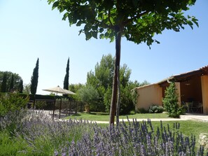 المنطقة المحيطة بالمنشأة