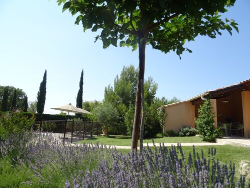 Haus Privater Pool Klimaanlage Internet Bédoin / Ventoux Ideale Radfahrer!