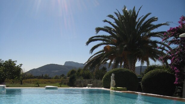 A clear swimming pool with a view of palm trees and a mountain in the background. - House / Villa - CuersHouse with garden (Cuers)