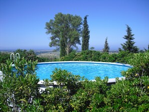 A swimming pool surrounded by greenery with a view of the landscape.