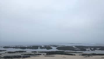 Ubicación cercana a la playa y tumbonas