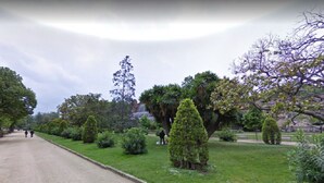 A park with a paved path, various trees, and shrubs.