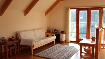 Älytelevisio, takka, DVD-soitin, kirjoja