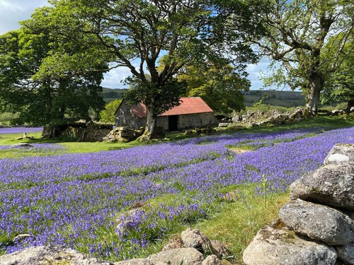 Character Barn, National Park Private courtyard, peaceful, log burner sleeps 4