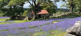 Character Barn, National Park Private courtyard, peaceful, log burner sleeps 4