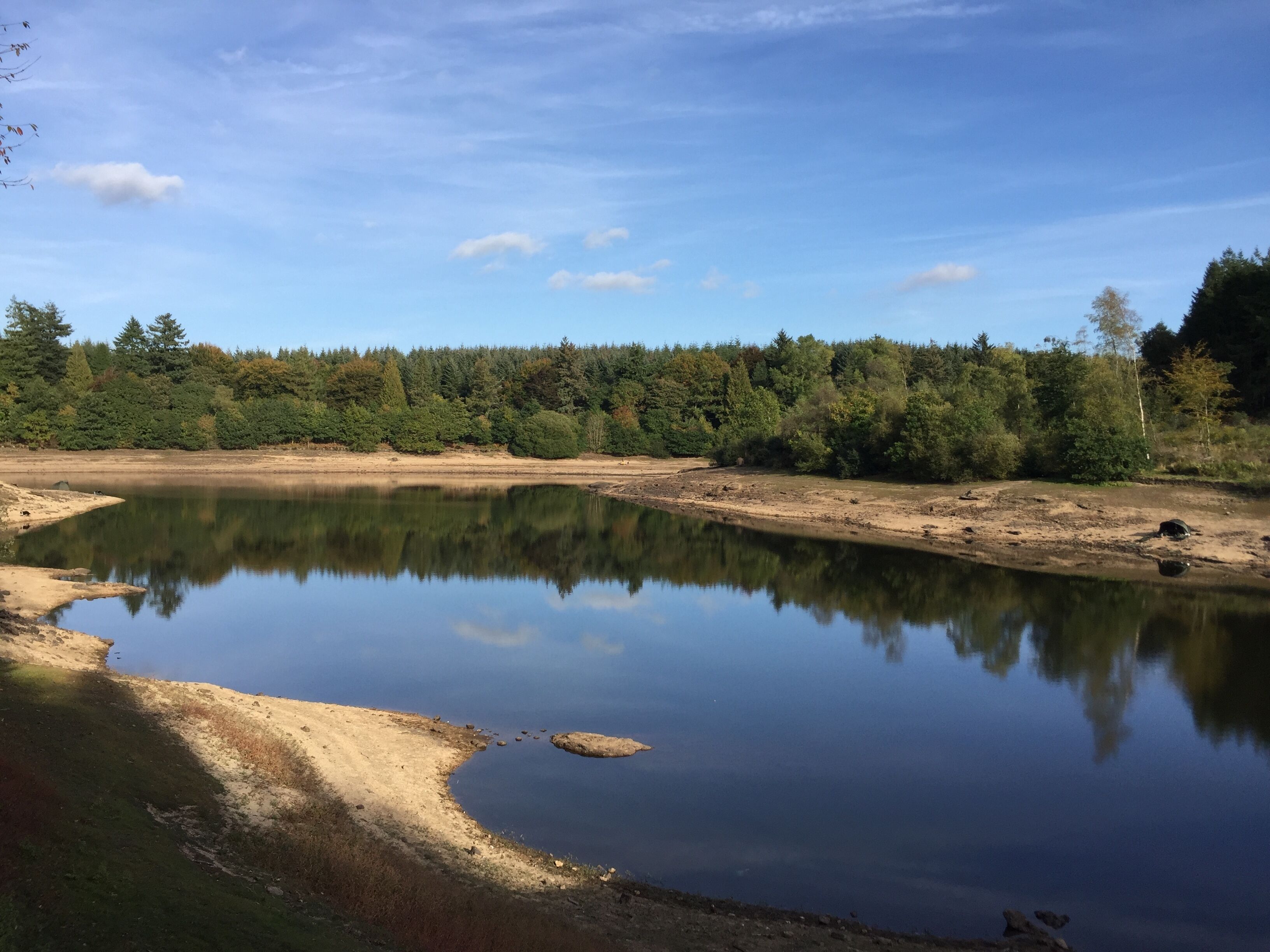 Un lago tranquillo circondato da una fitta foresta.