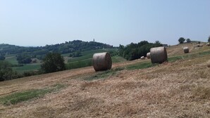 A rural landscape with hay bales on a hillside. - Holiday Monferrato - LE GINESTRE - WI-FI AND PARKING FREE (Tonco)