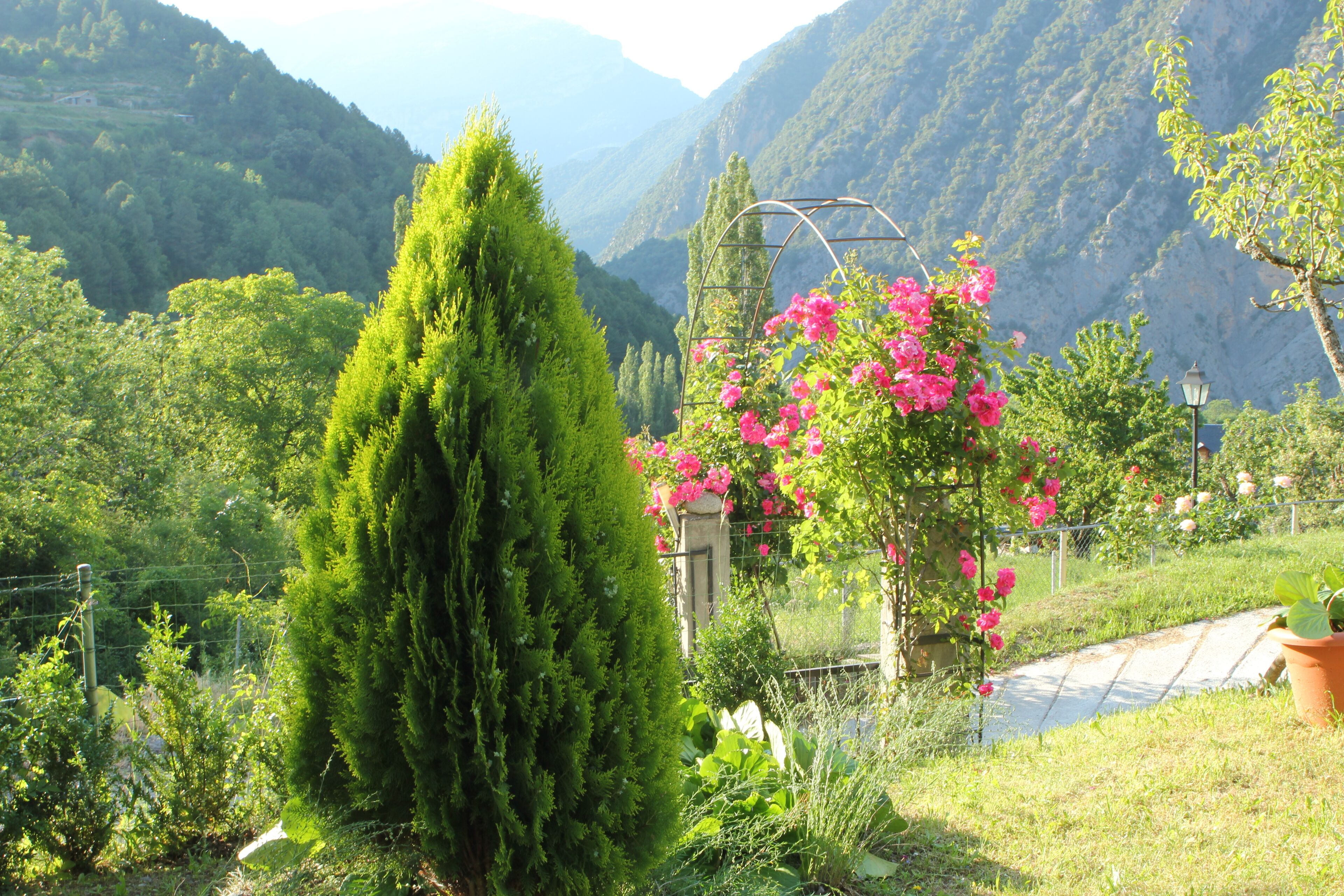 Enceinte de l’hébergement