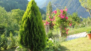 Eine gebirgige Landschaft mit einem Garten, der einen hohen Nadelbaum und blühende rosa Blumen zeigt.