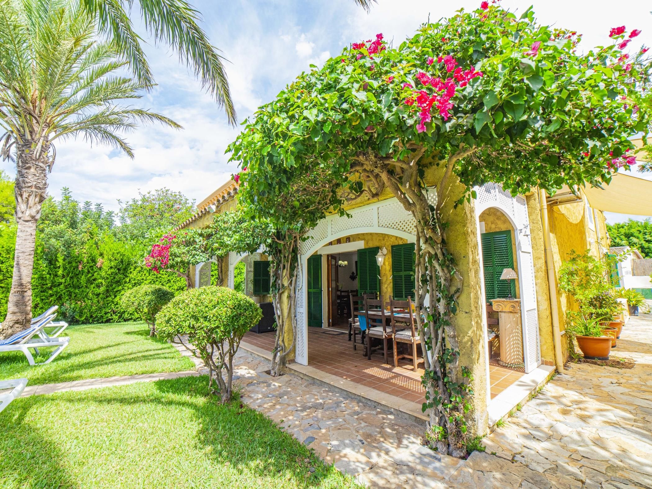 Un patio con una palmera, una zona de estar cubierta y un edificio con contraventanas verdes.