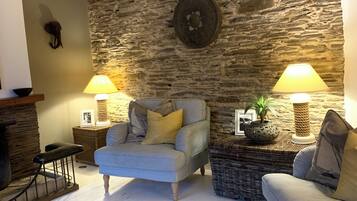 Una televisión, una chimenea, un reproductor de DVD, libros