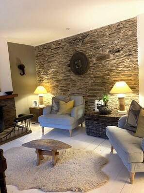TV, fireplace, DVD player, books