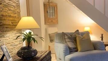 Télévision, cheminée, lecteur de DVD, livres