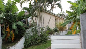 Zona residencial amb una casa envoltada de vegetació exuberant i palmeres de plàtan.