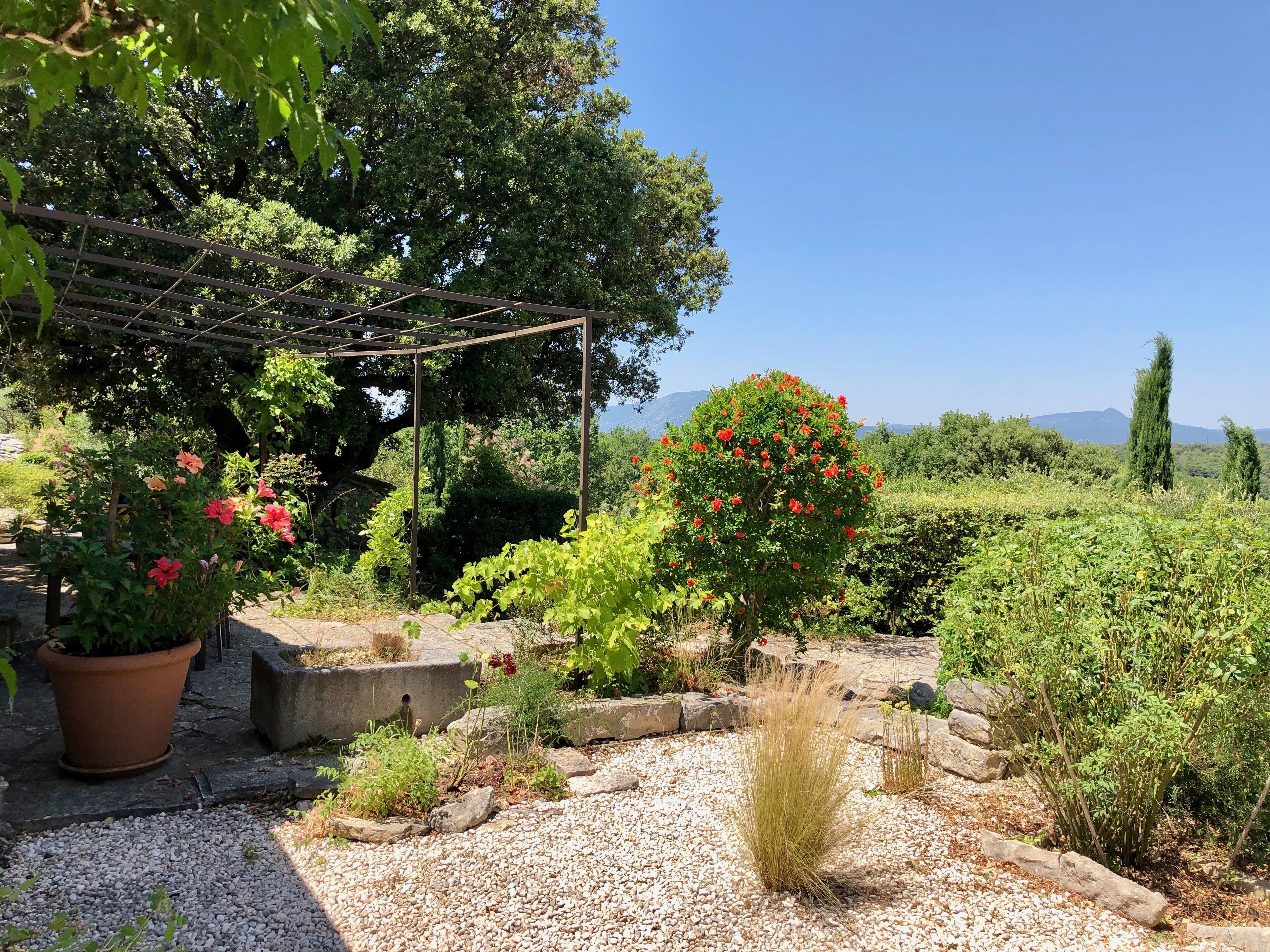 Un jardí amb una pèrgola, diferents plantes i una vista de muntanyes allunyades.