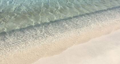 CASA ROBERTA Ă 350 mĂštres de la plage. PossibilitĂ© 2 MAISONS mĂȘme rue. AMIS ET FAMILLE