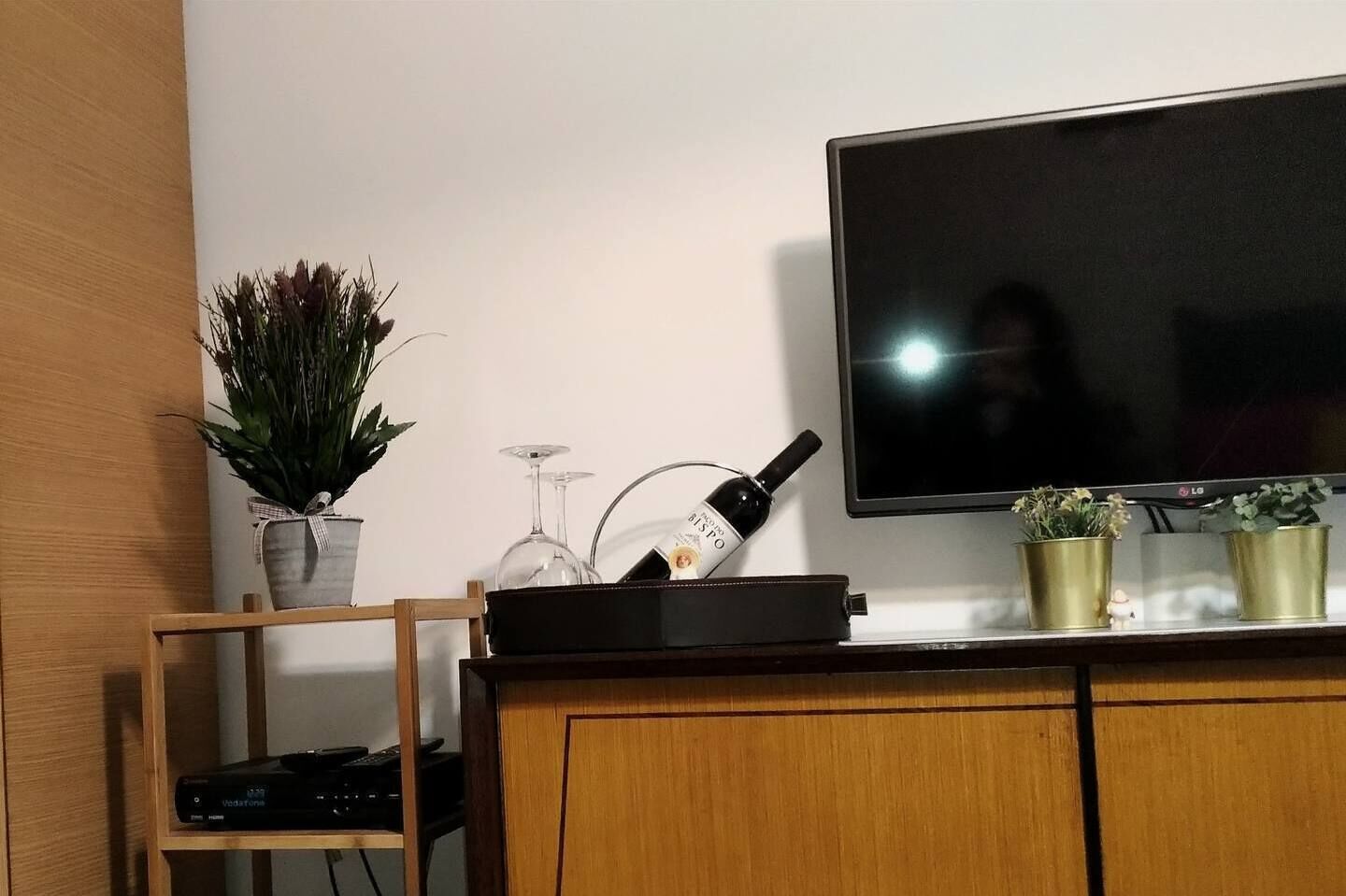 Una sala de estar con un televisor de pantalla plana, un mueble de madera, una mesita con una botella de vino y dos plantas en macetas.
