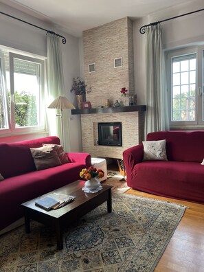 TV, fireplace, books