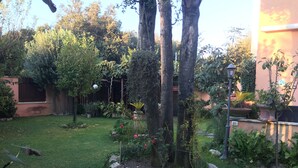 A garden with trees, rocks, and potted plants.